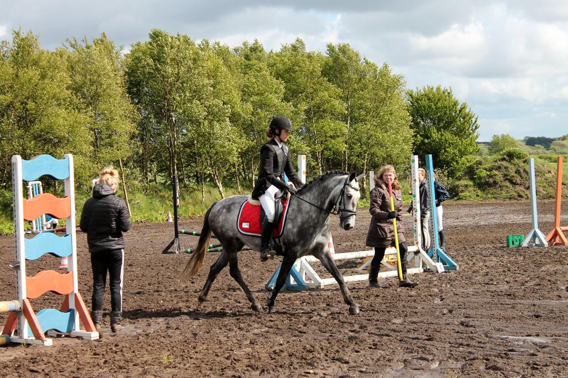 Grøvangs Jocelynn og Anne Frederiksen LB dressur | 30/05-2015 billede 76