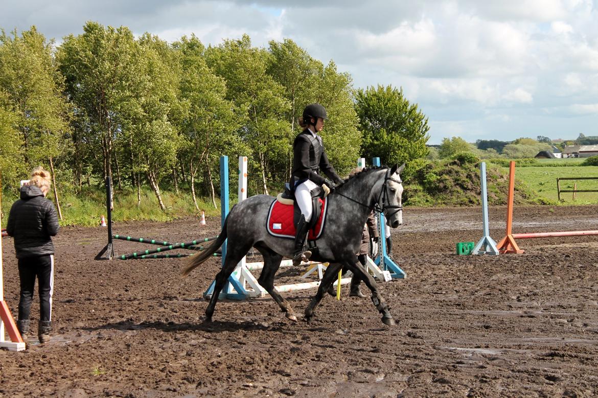 Grøvangs Jocelynn og Anne Frederiksen LB dressur | 30/05-2015 billede 77
