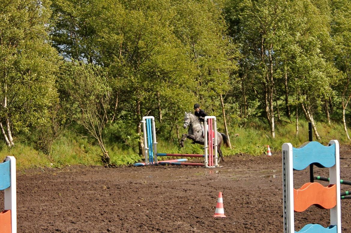 Grøvangs Jocelynn og Anne Frederiksen LB dressur | 30/05-2015 billede 78