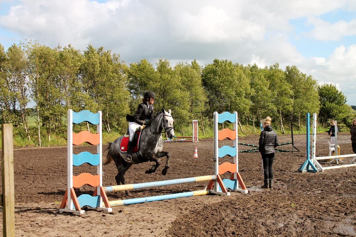 Grøvangs Jocelynn og Anne Frederiksen LB dressur | 30/05-2015 billede 79