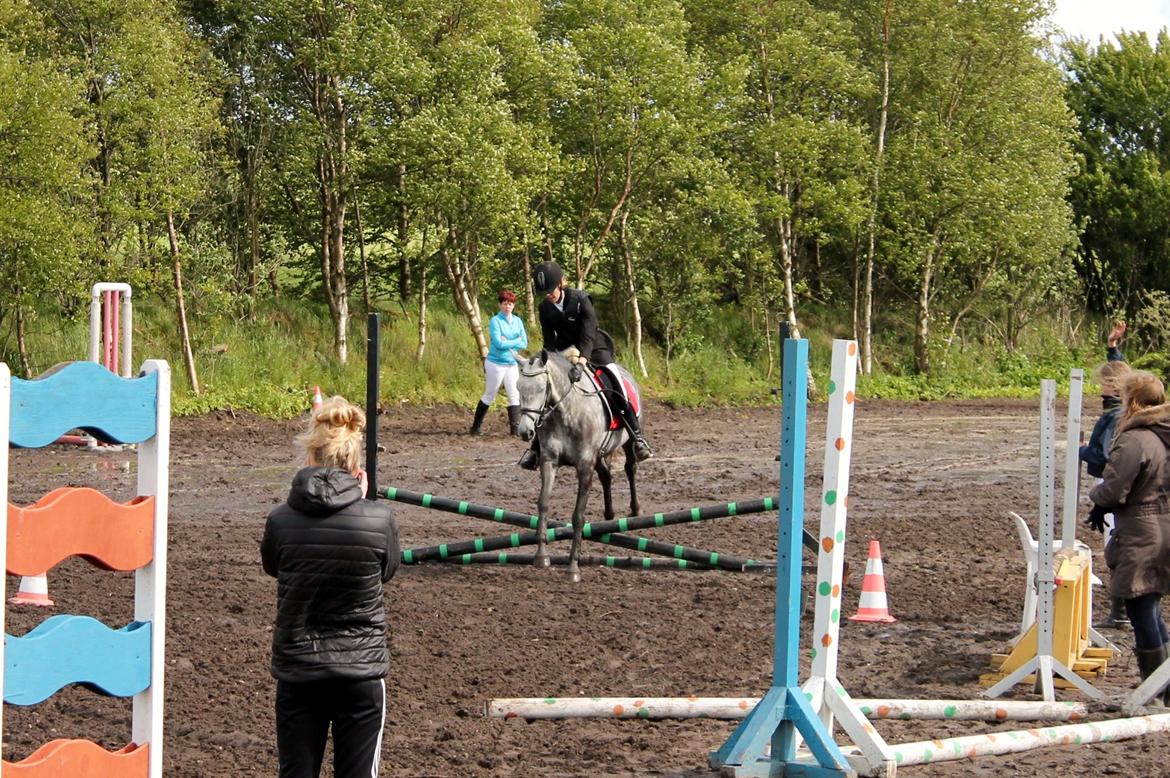 Grøvangs Jocelynn og Anne Frederiksen LB dressur | 30/05-2015 billede 83