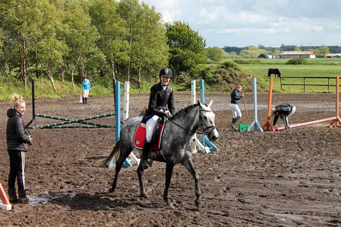 Grøvangs Jocelynn og Anne Frederiksen LB dressur | 30/05-2015 billede 84