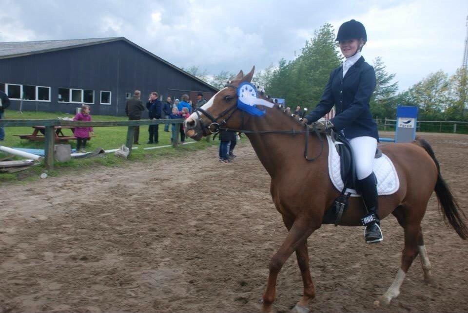 Stævne i Farsø rideklub billede 2