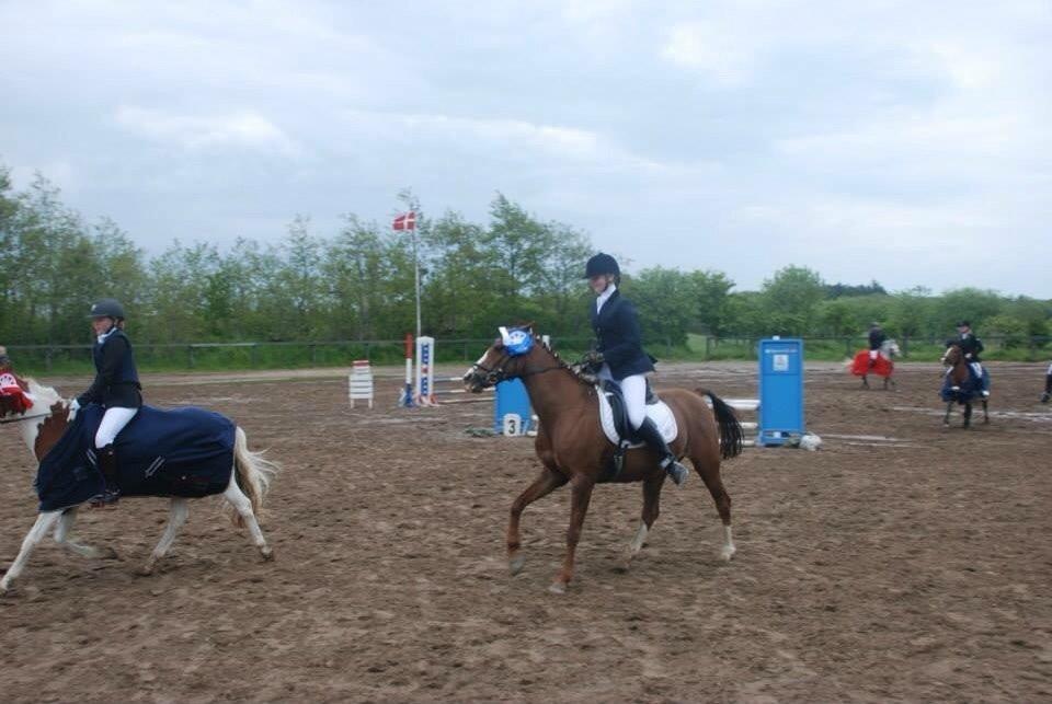 Stævne i Farsø rideklub billede 3