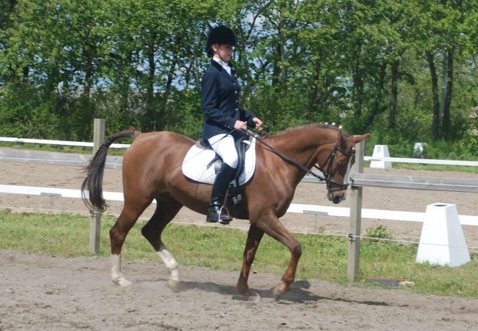 Stævne i Farsø rideklub billede 8