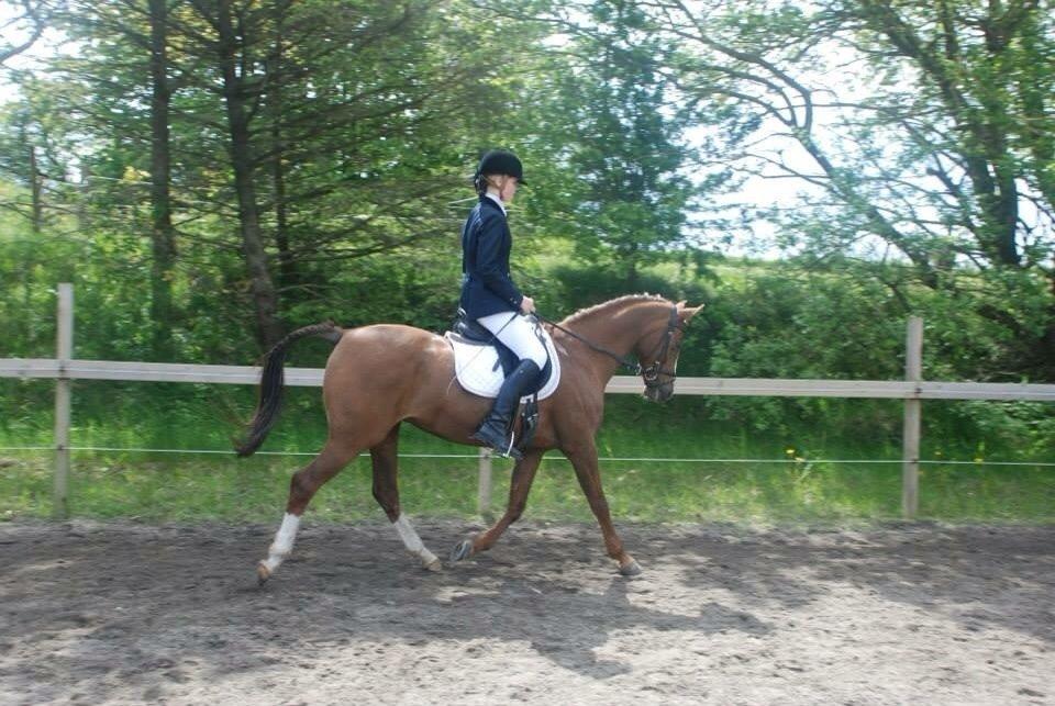Stævne i Farsø rideklub billede 9