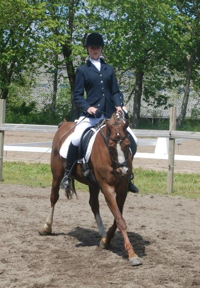 Stævne i Farsø rideklub billede 10