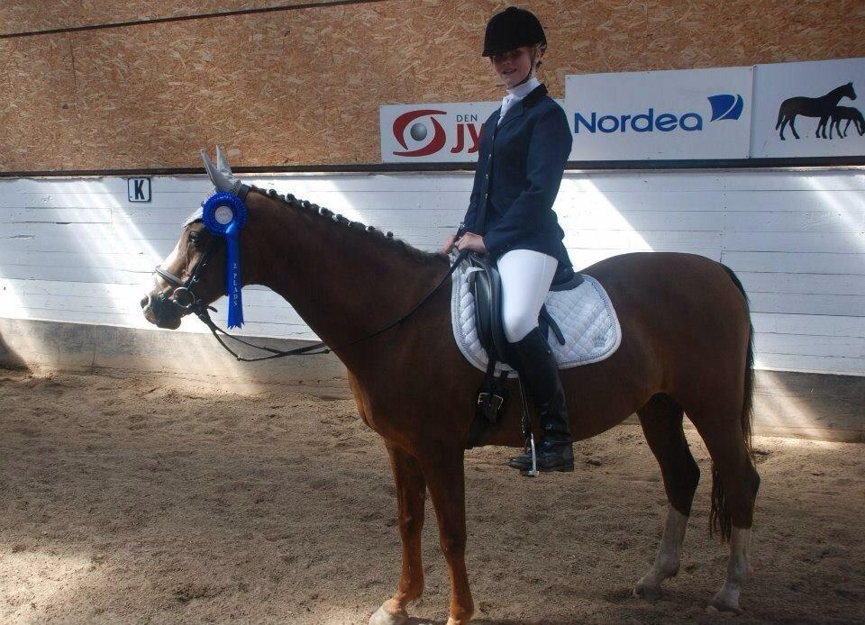 Stævne i Farsø rideklub billede 11