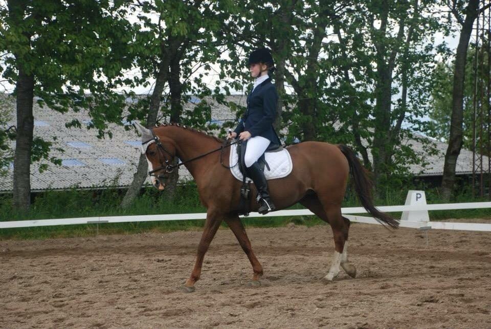 Stævne i Farsø rideklub billede 12