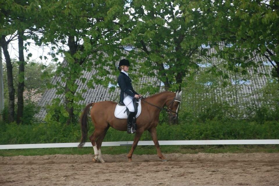 Stævne i Farsø rideklub billede 13