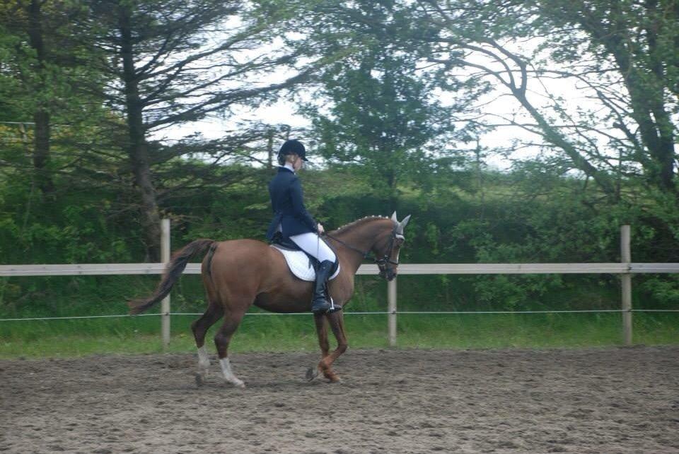 Stævne i Farsø rideklub billede 14
