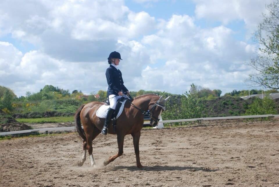 Stævne i Farsø rideklub billede 16