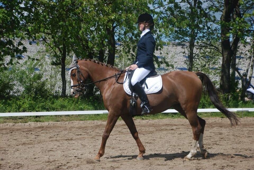 Stævne i Farsø rideklub billede 15