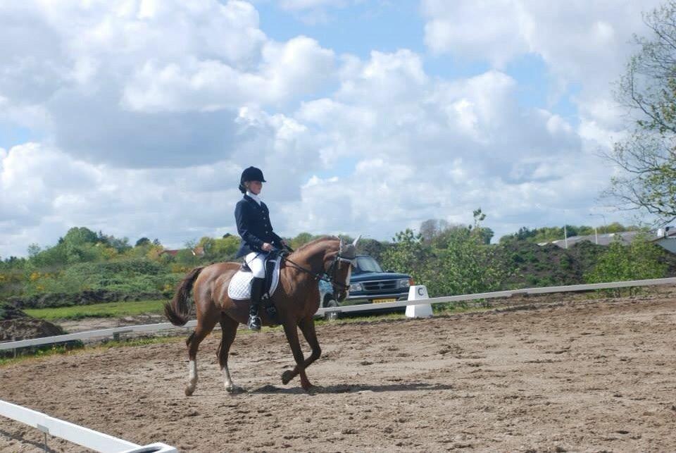 Stævne i Farsø rideklub billede 17