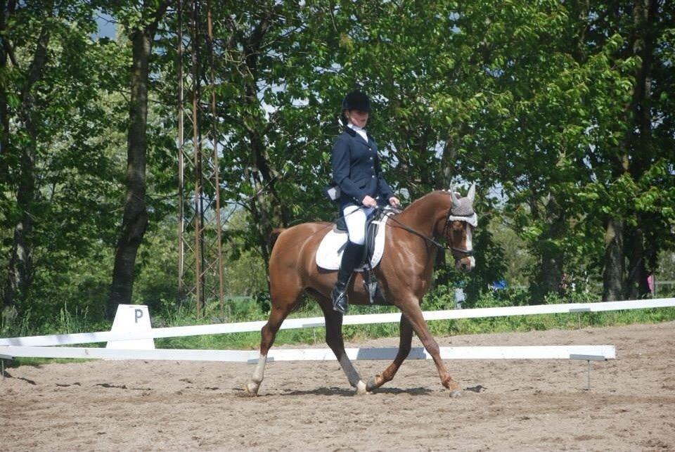 Stævne i Farsø rideklub billede 18