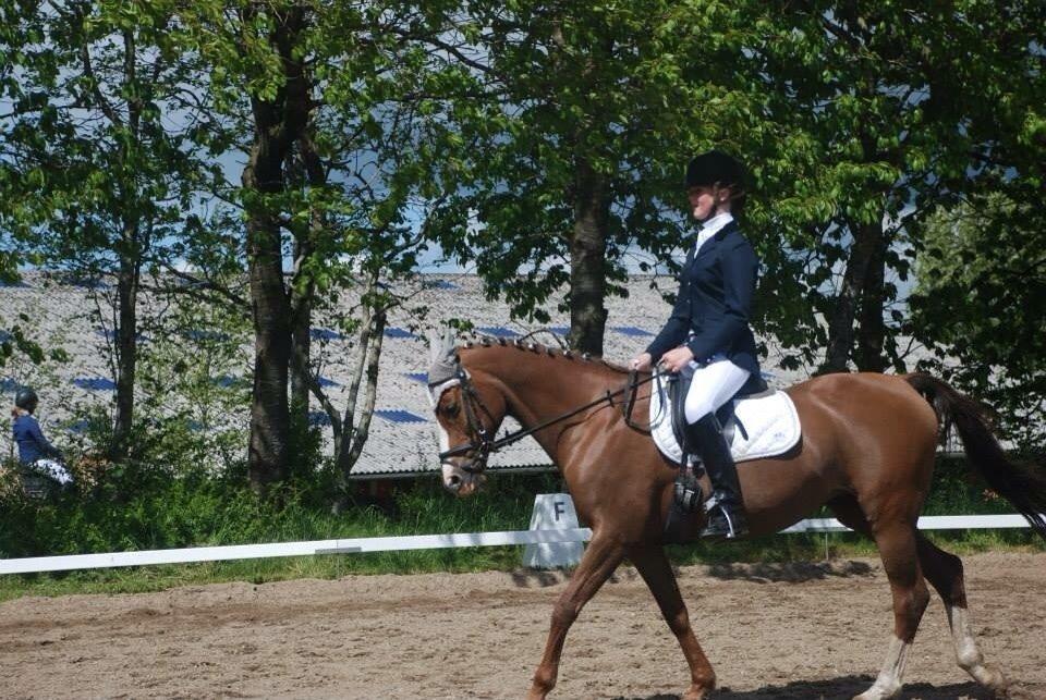 Stævne i Farsø rideklub billede 19