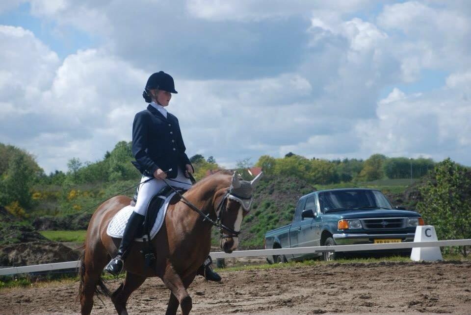 Stævne i Farsø rideklub billede 20