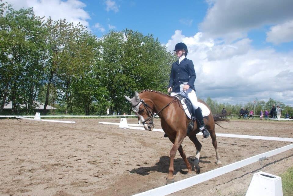 Stævne i Farsø rideklub billede 21