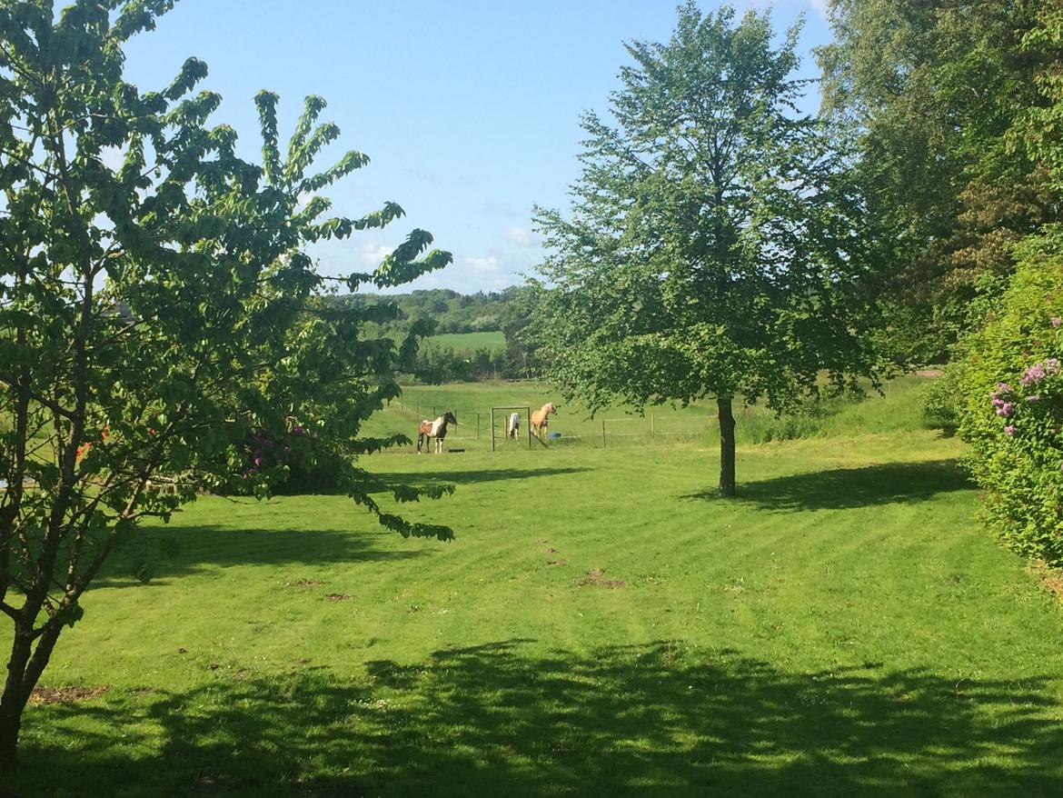 Stald Marienborg billede 2