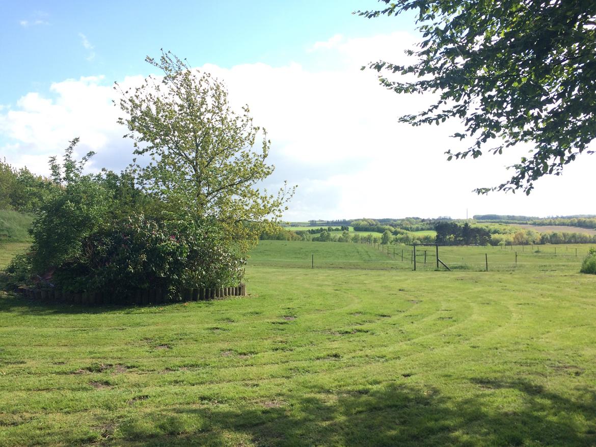 Stald Marienborg billede 3