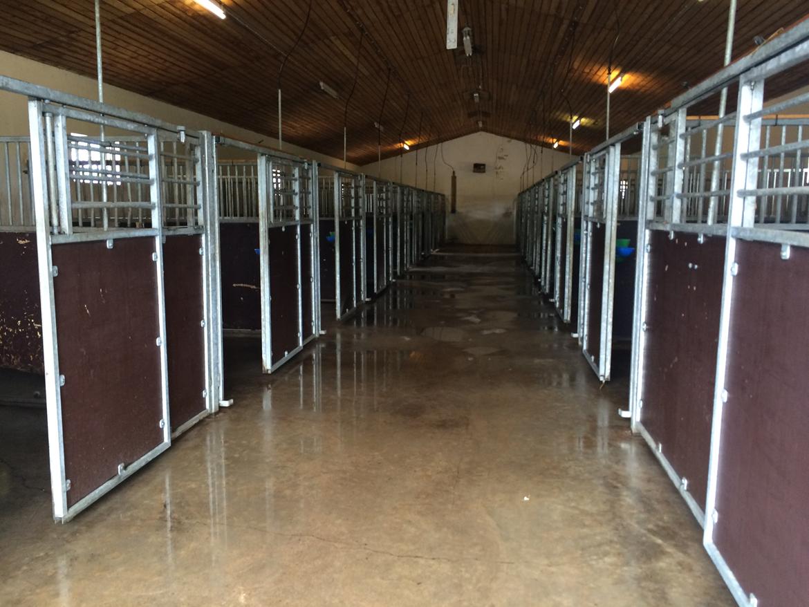 Stald Marienborg billede 4