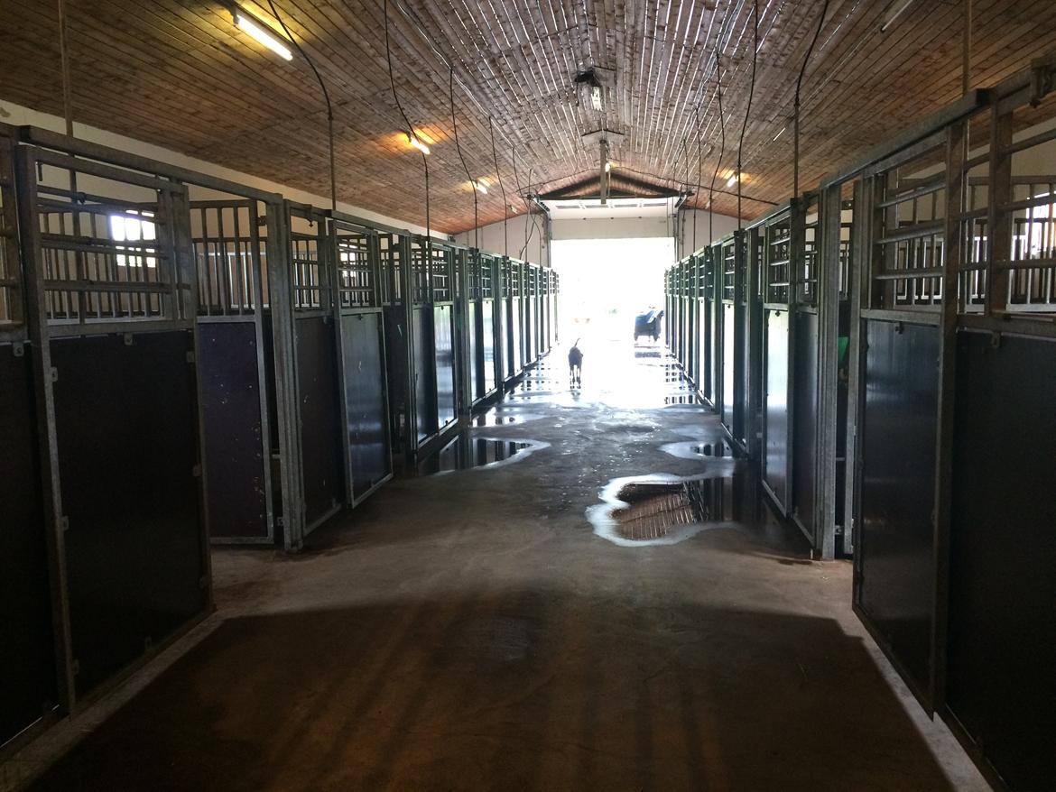 Stald Marienborg billede 7