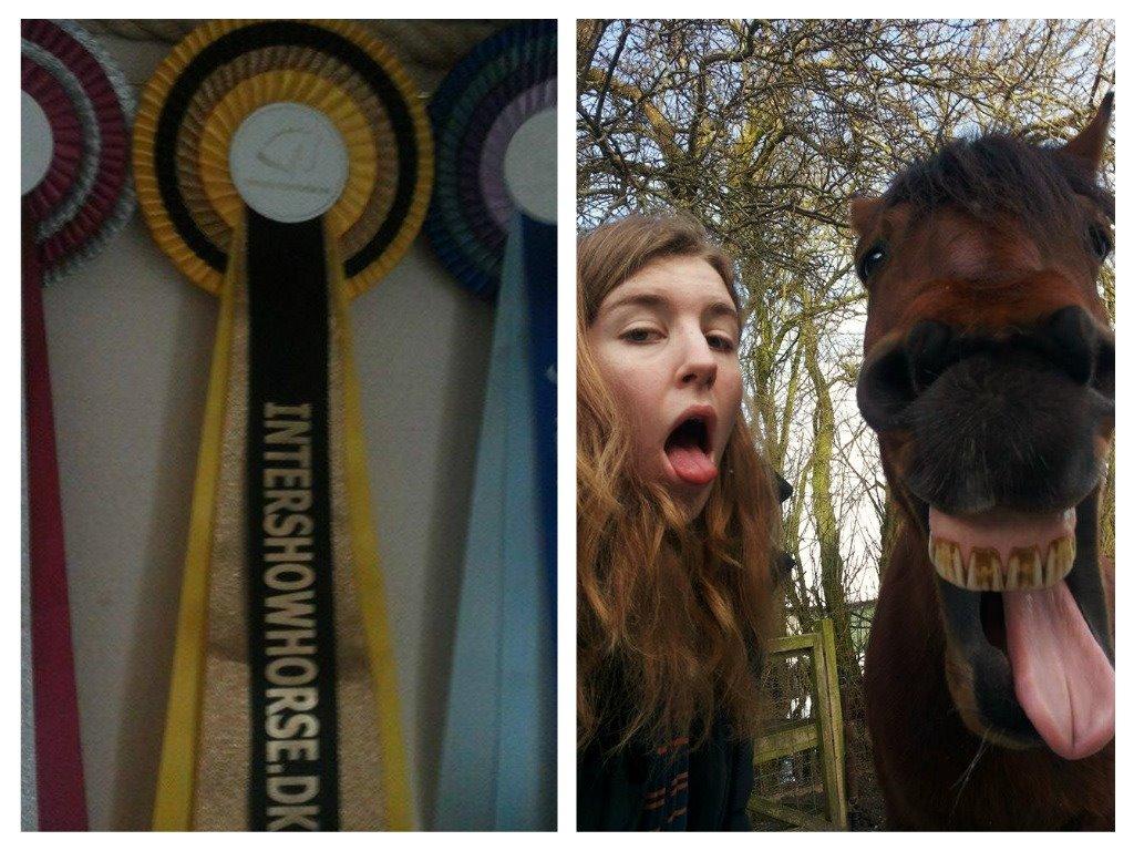 Alle mine rosetter ;) - Maj 2015 klassen Bedste Match 10. plads ud af 10 kommentar: Anderledes matchende billede, der vidst ret godt viser ”hest som ejer” :) Super sødt billede kunne dog godt have ønsket mig bedre kvalitet! Tillykke med 10. pladsen! billede 9