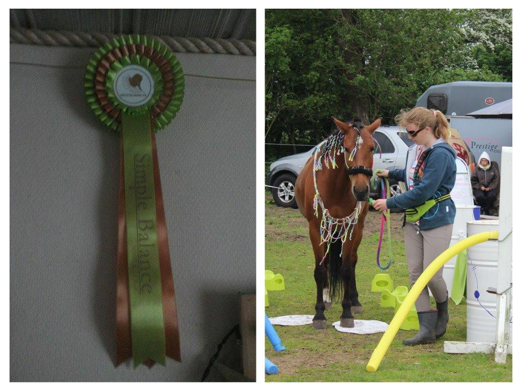 Alle mine rosetter ;) - Hestevelfærdsstævne 6/6-7/6 2015 : 

Agility RUN heat 1 - 73,21 % - 3. Plads - bronze roset med grøn 
 billede 10