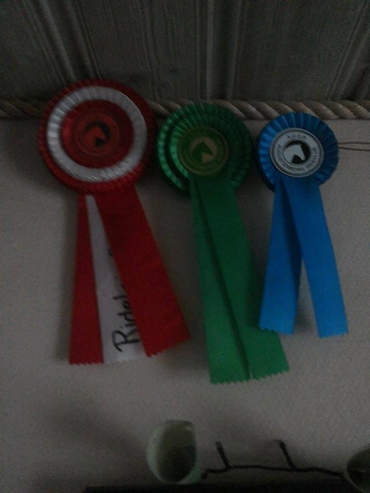 Alle mine rosetter ;) -  Rød roset 1. plads AUGR Ridelejr 2009, grøn 3. plads dressur ( min venindes) blå roset 2. plads som mig og min veninde vandt til et dressurstævne alle fra AUGR billede 11
