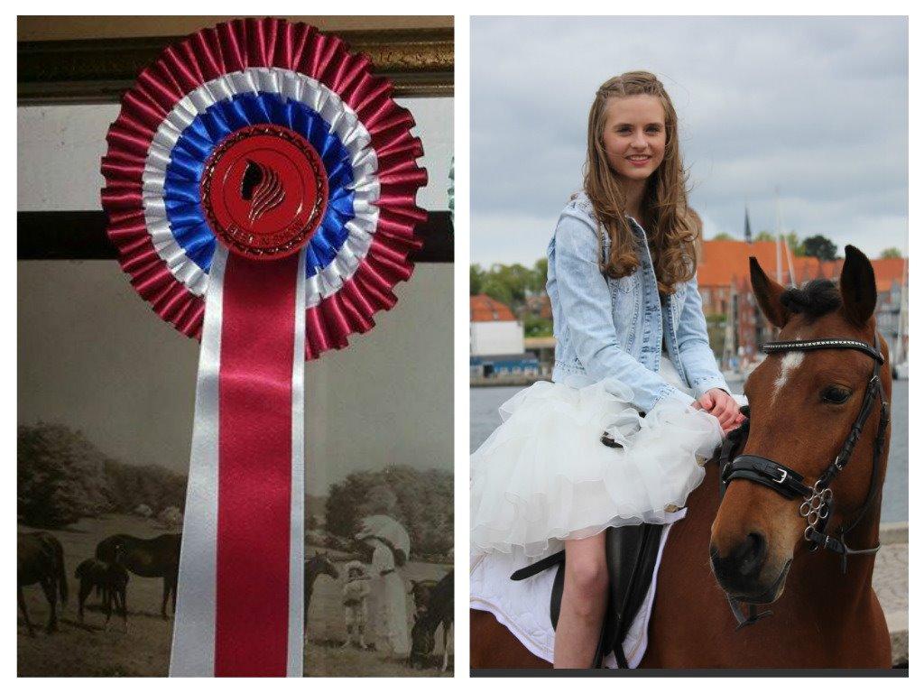 Alle mine rosetter ;) - *Sandra har rosetten* Klassen: Festlig begivenhed Maj 2015, 1. plads ud af 5 Kommentar: Smuk konfirmand og hest, det er dejligt med pigens glade smil og hesten har ørene fremme. Flot valg af baggrund med havet og de pæne byhuse. billede 12