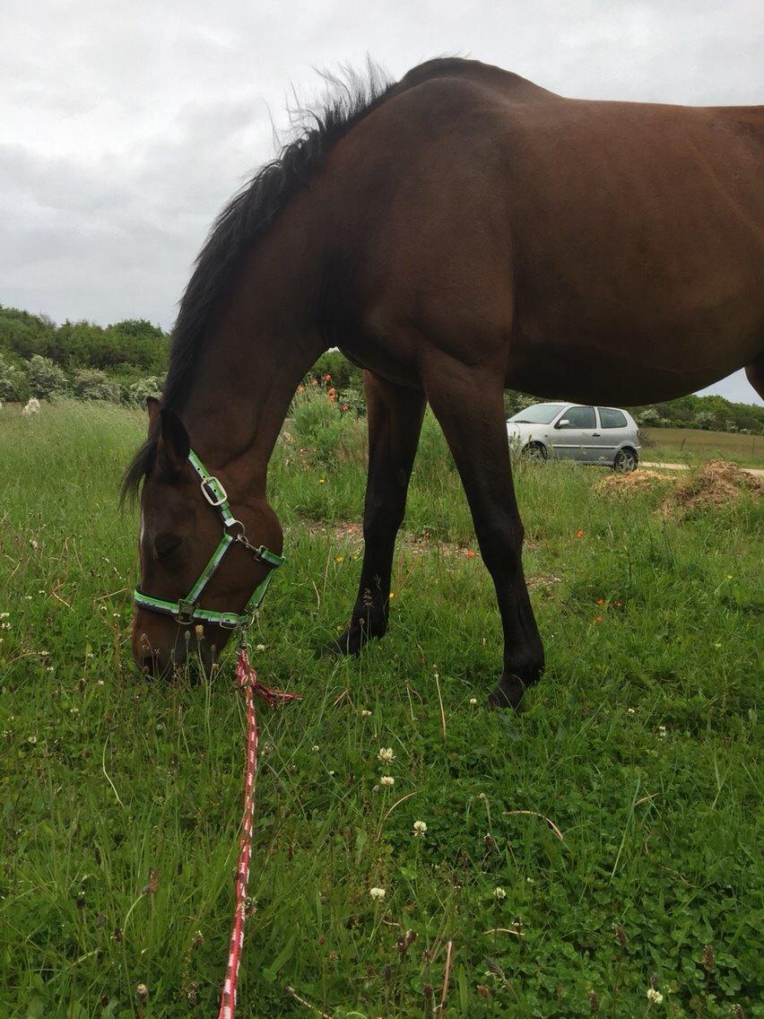 Hygge tur med trunten billede 2