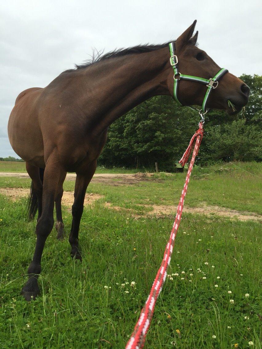 Hygge tur med trunten billede 3