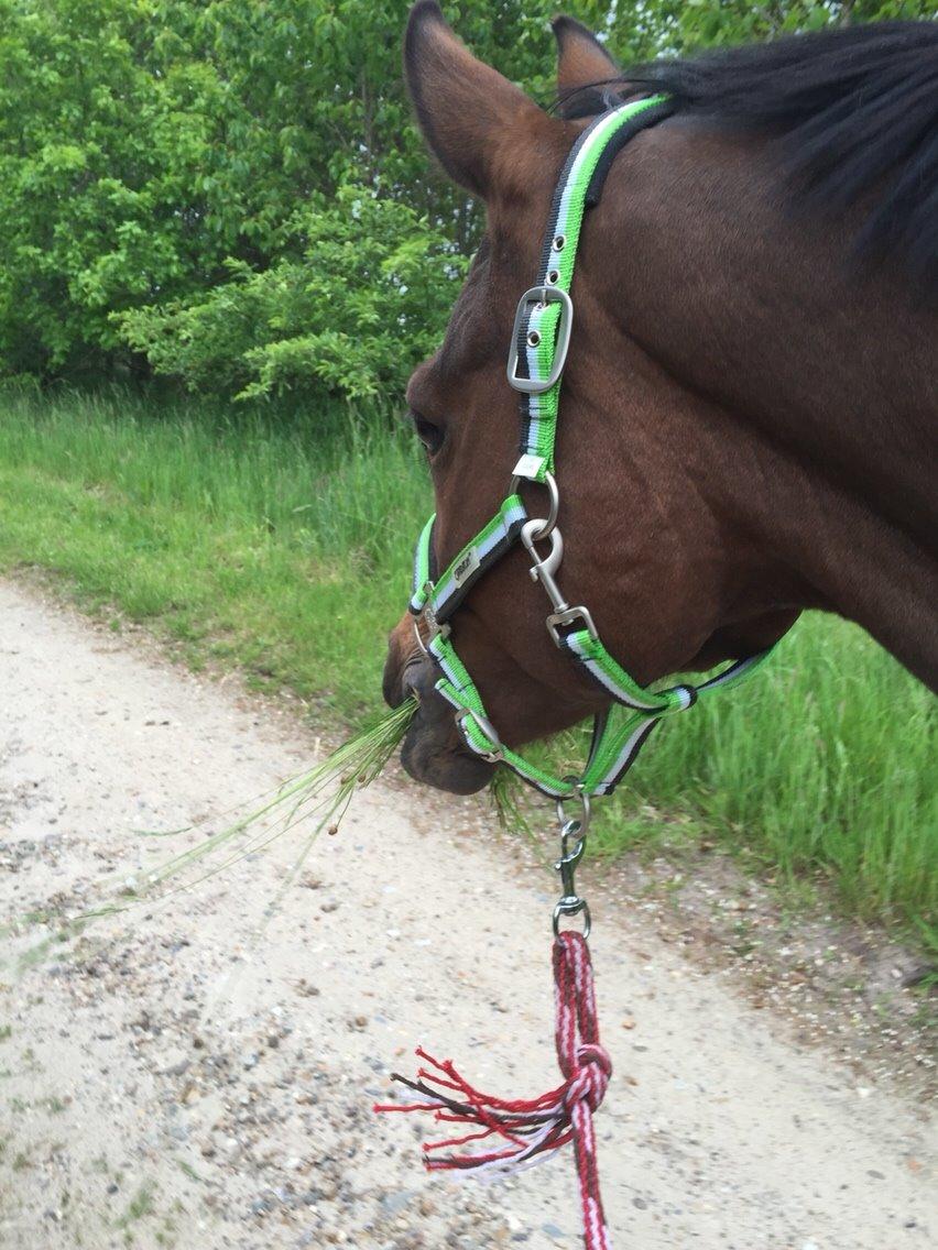 Hygge tur med trunten billede 4