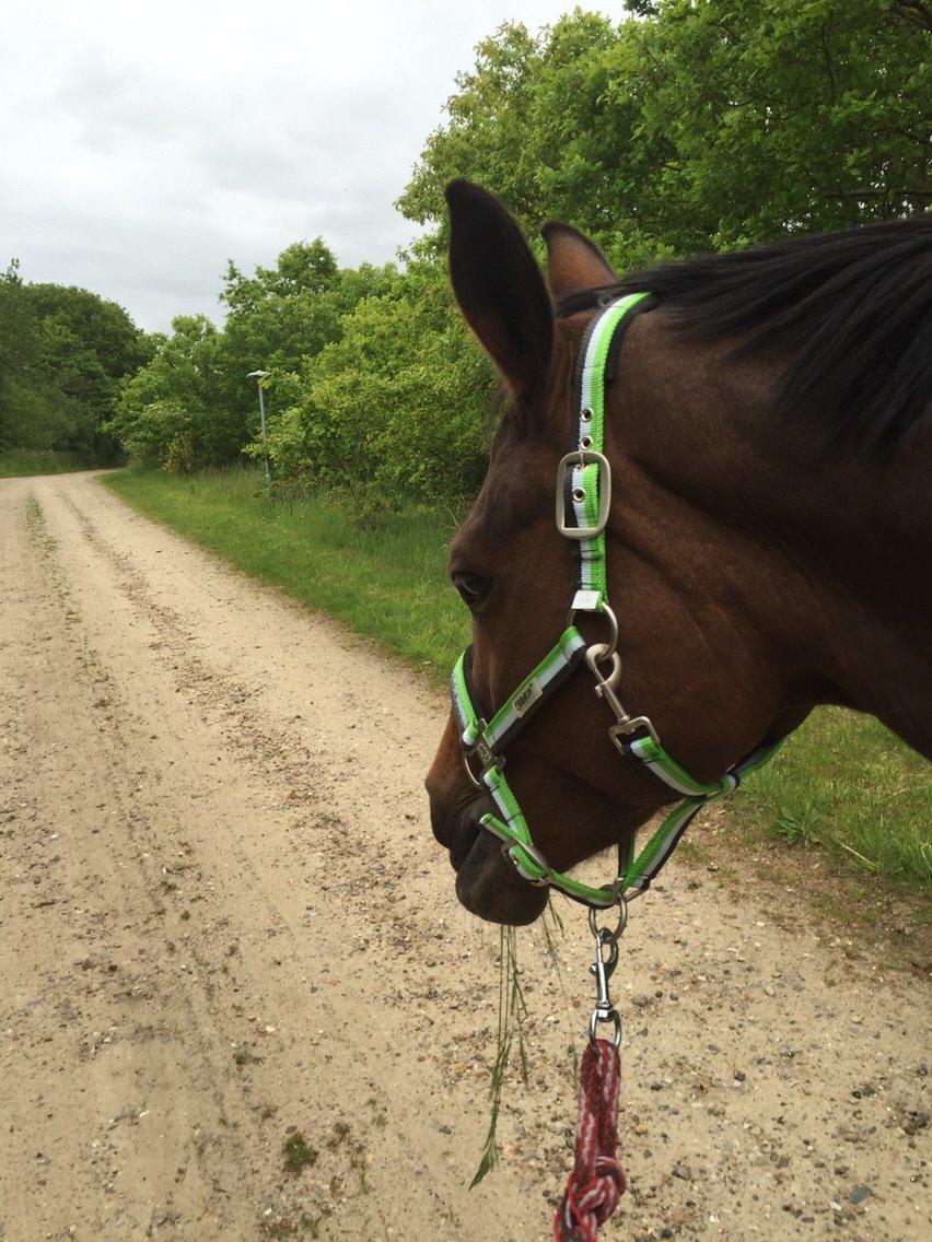 Hygge tur med trunten billede 5