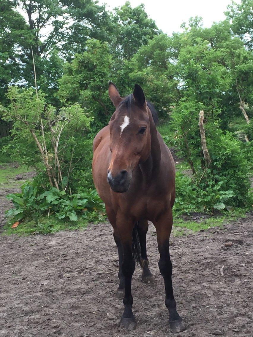 Hygge tur med trunten billede 8