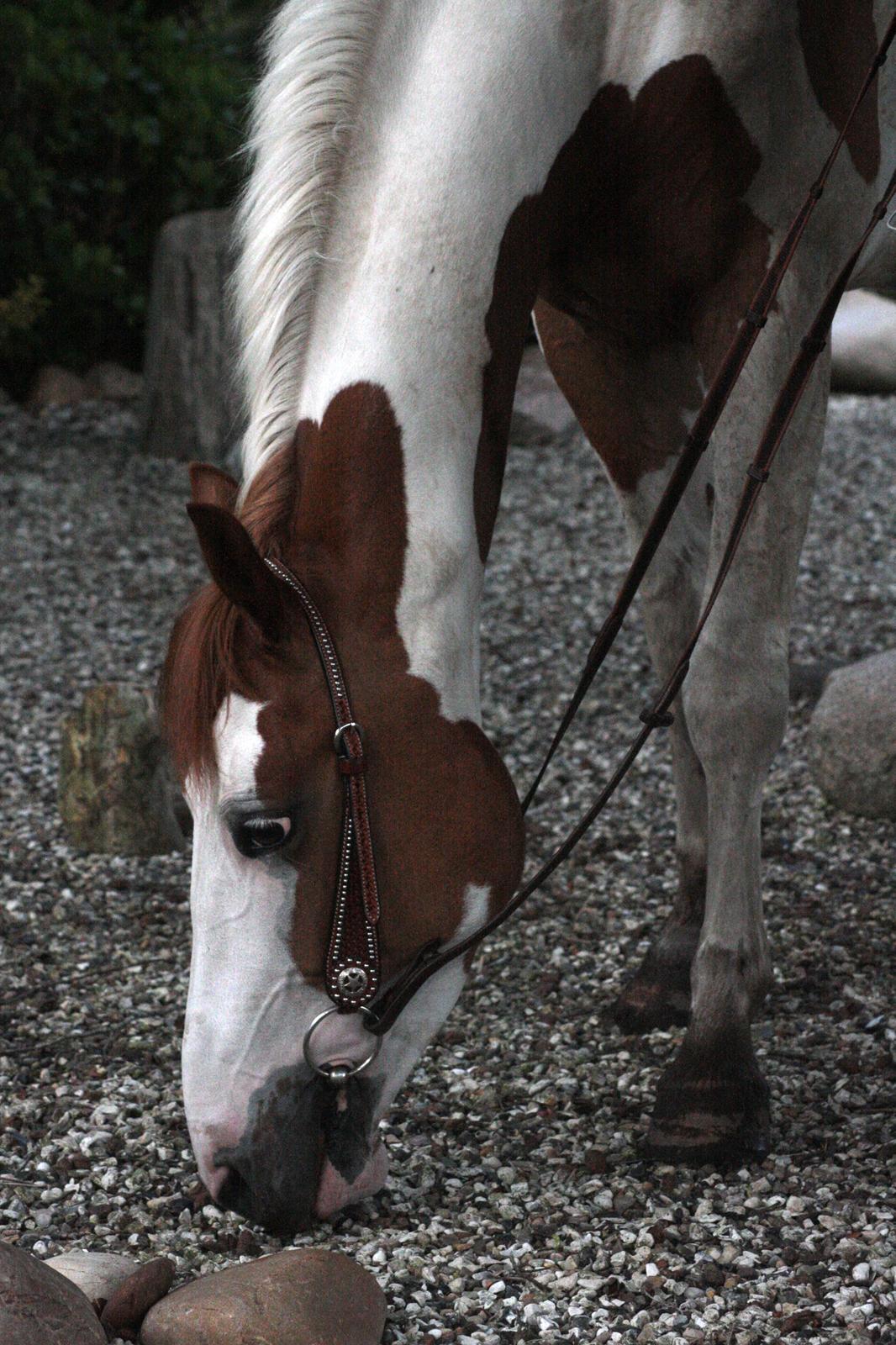 What A Spot Hyggetid :D billede 1