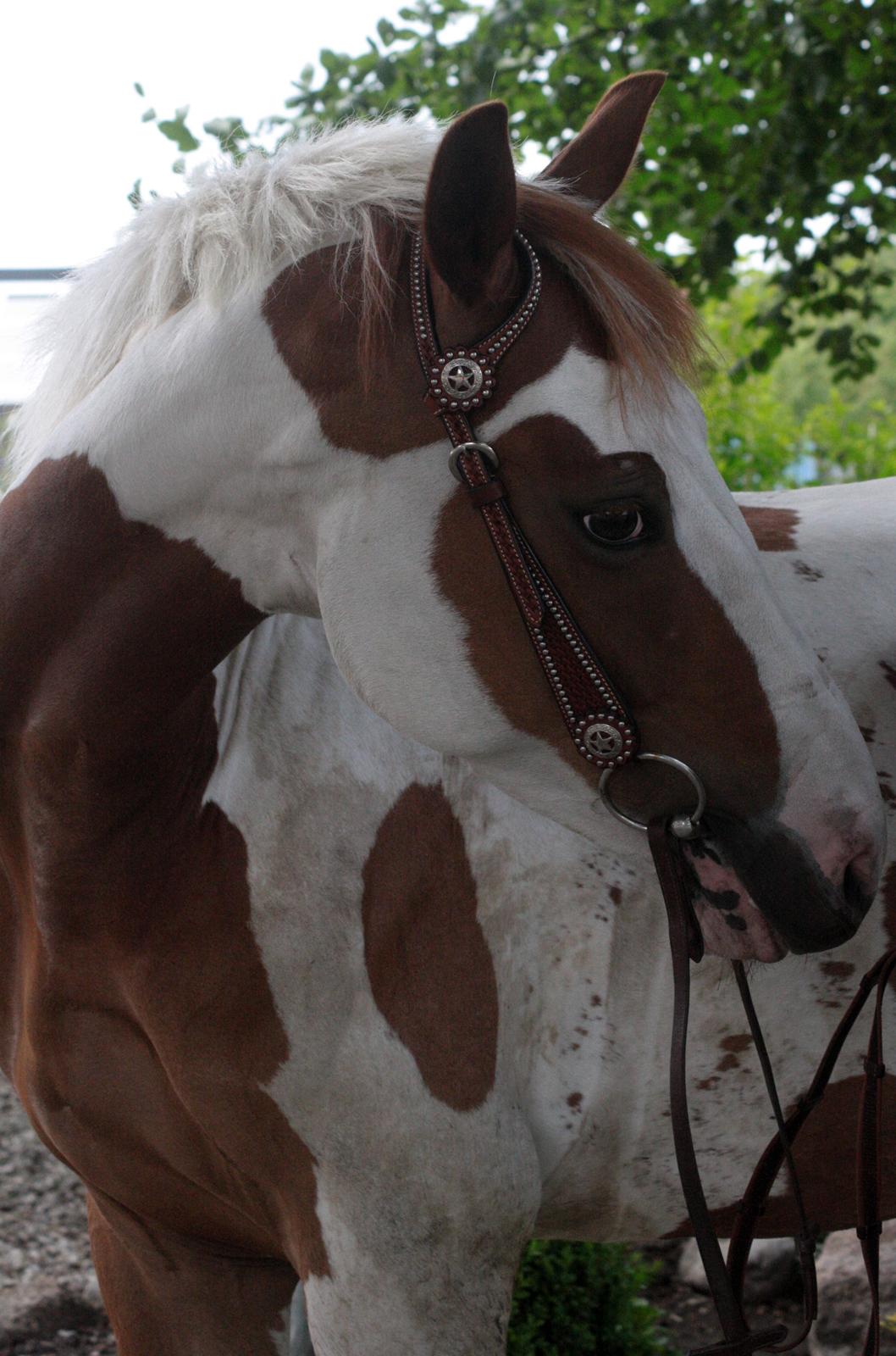 What A Spot Hyggetid :D billede 3