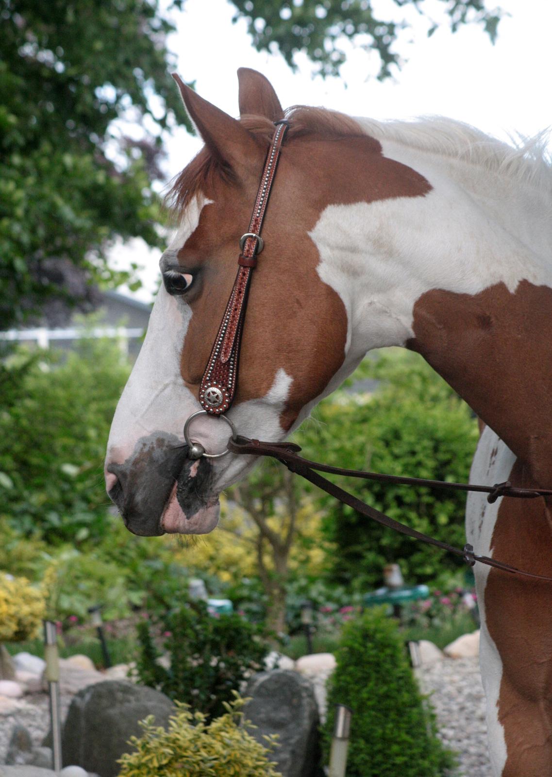 What A Spot Hyggetid :D billede 2