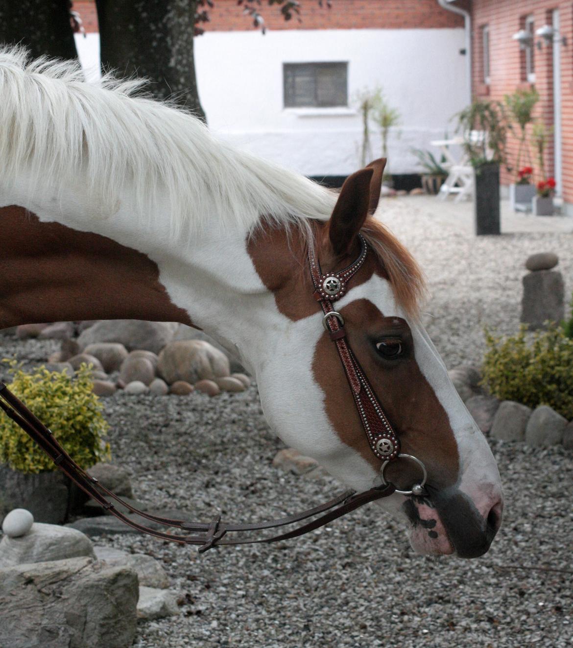 What A Spot Hyggetid :D billede 5