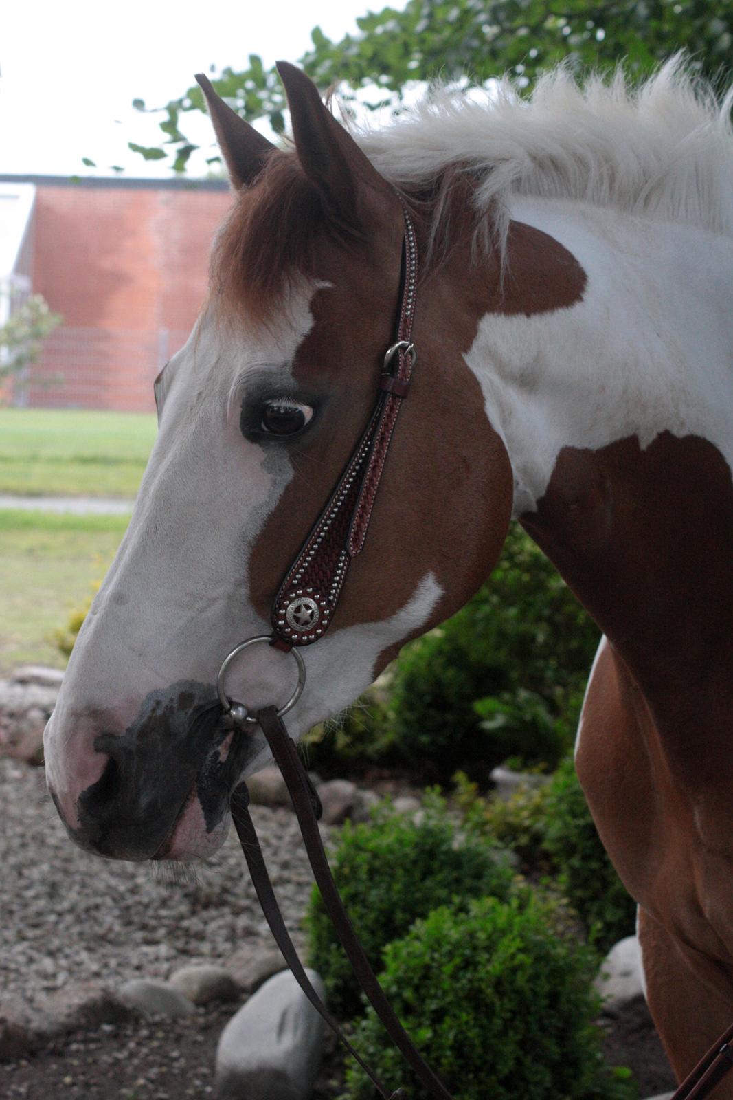 What A Spot Hyggetid :D billede 4