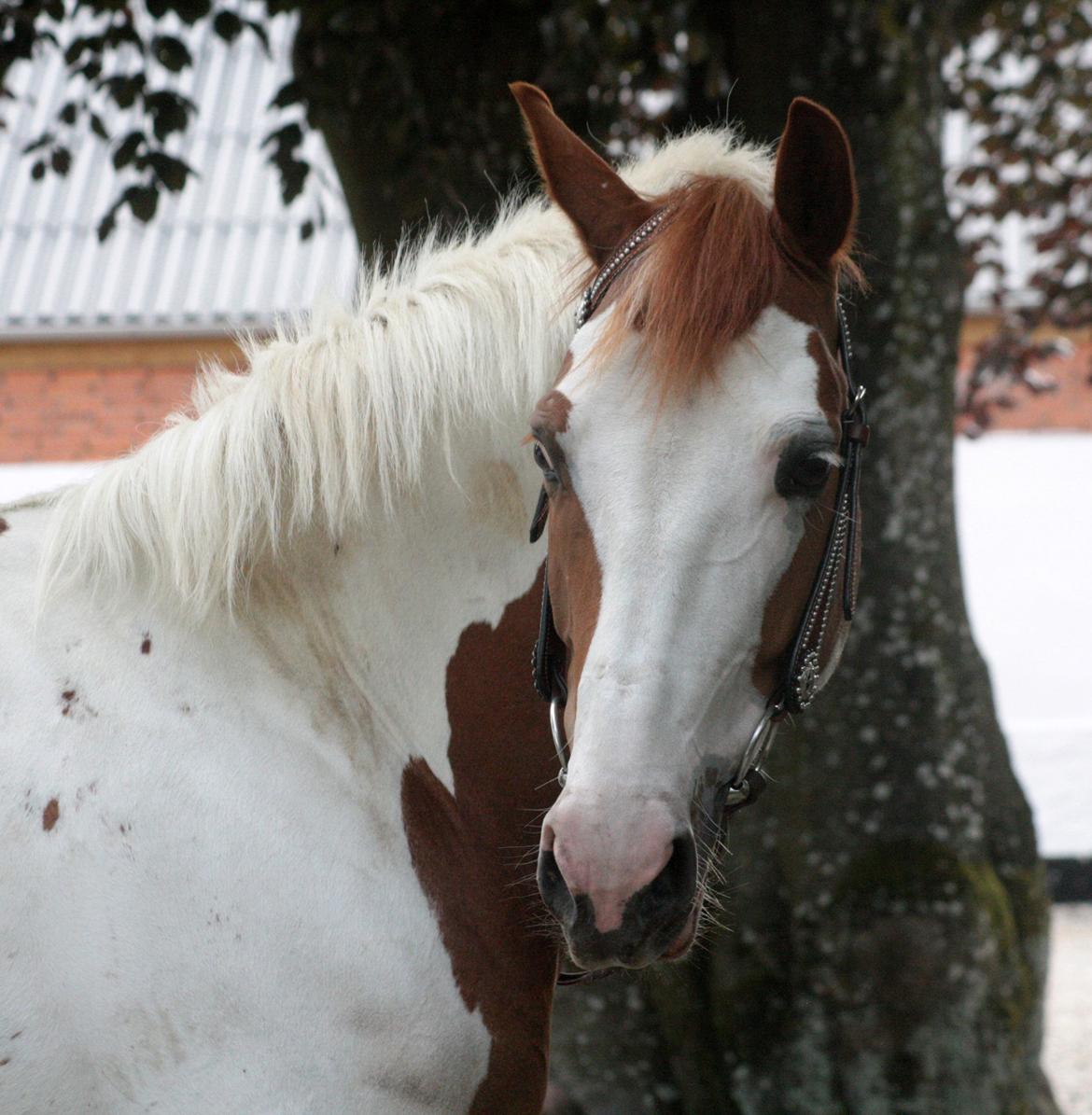 What A Spot Hyggetid :D billede 9