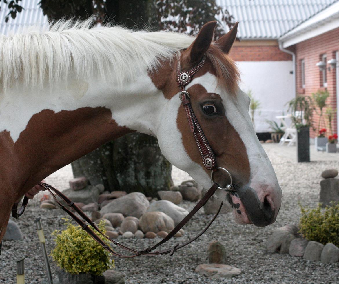 What A Spot Hyggetid :D billede 7