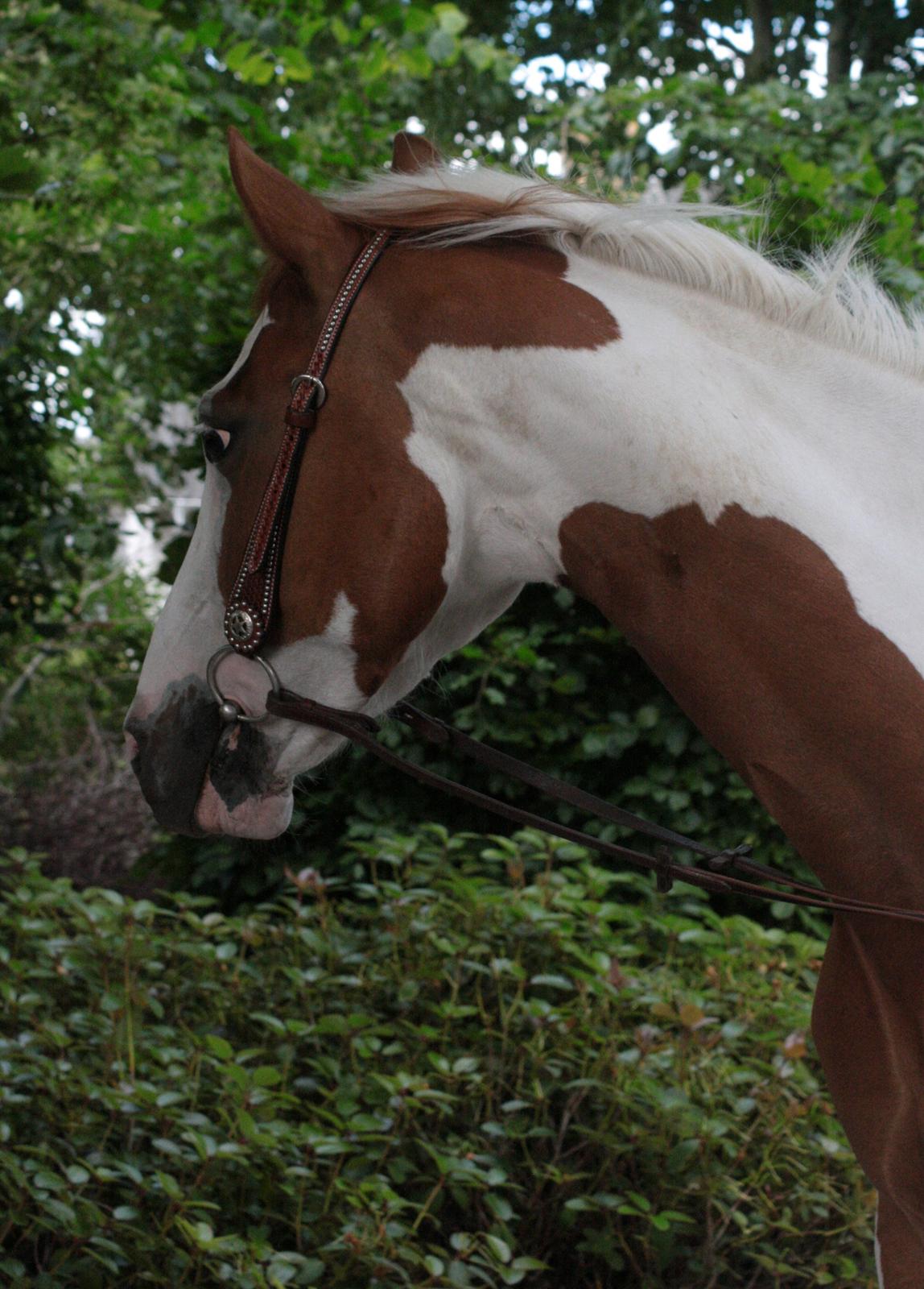 What A Spot Hyggetid :D billede 10