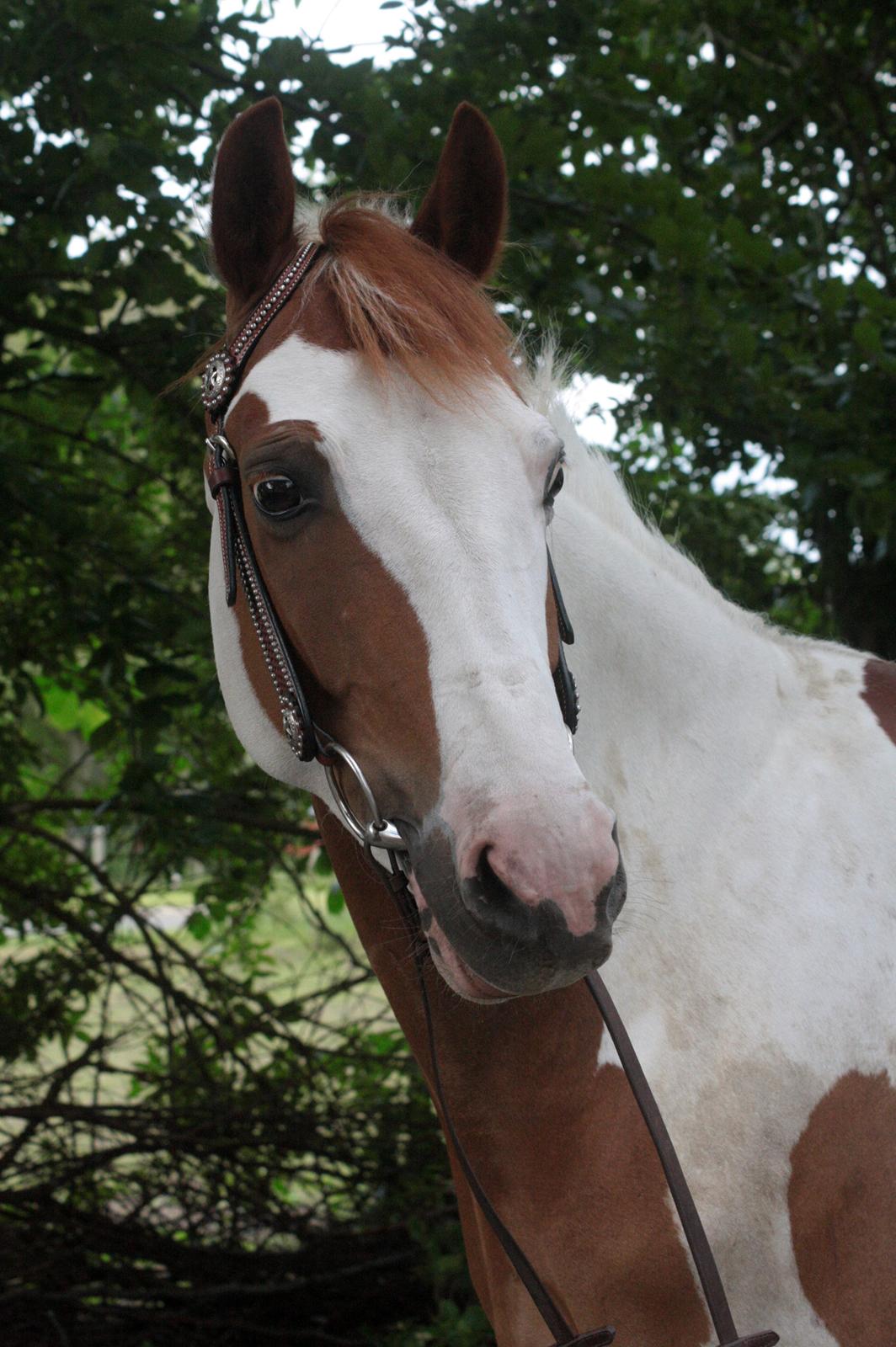 What A Spot Hyggetid :D billede 11