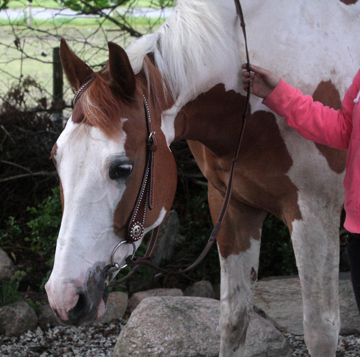 What A Spot Hyggetid :D billede 17