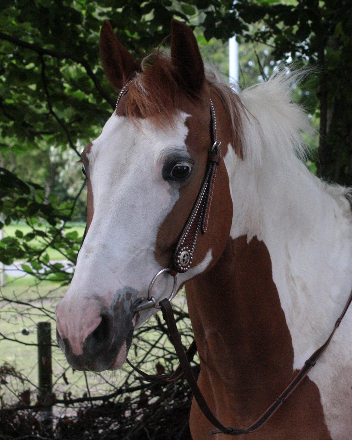 What A Spot Hyggetid :D billede 18