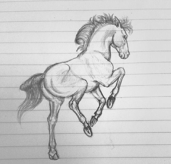 Mine tegninger - flygtning billede 4