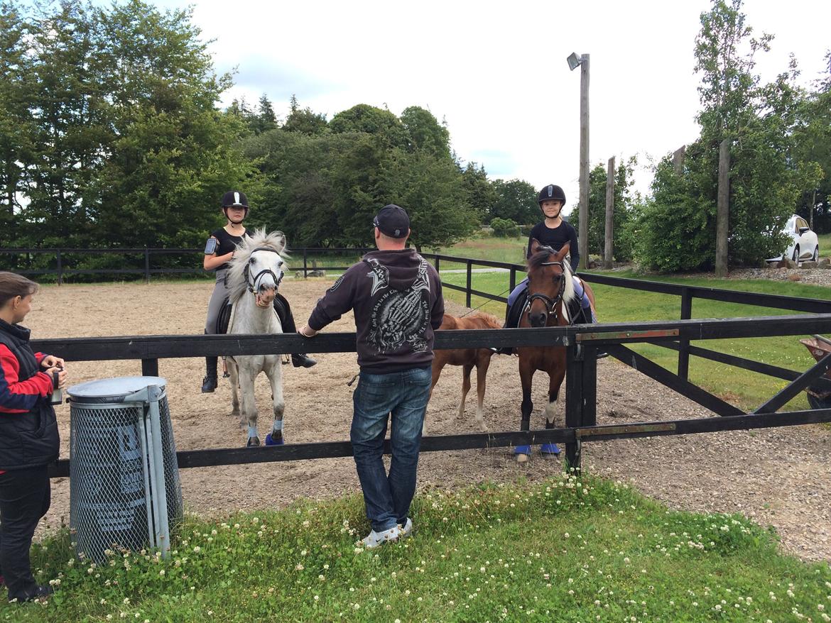 Stald Marienborg billede 18