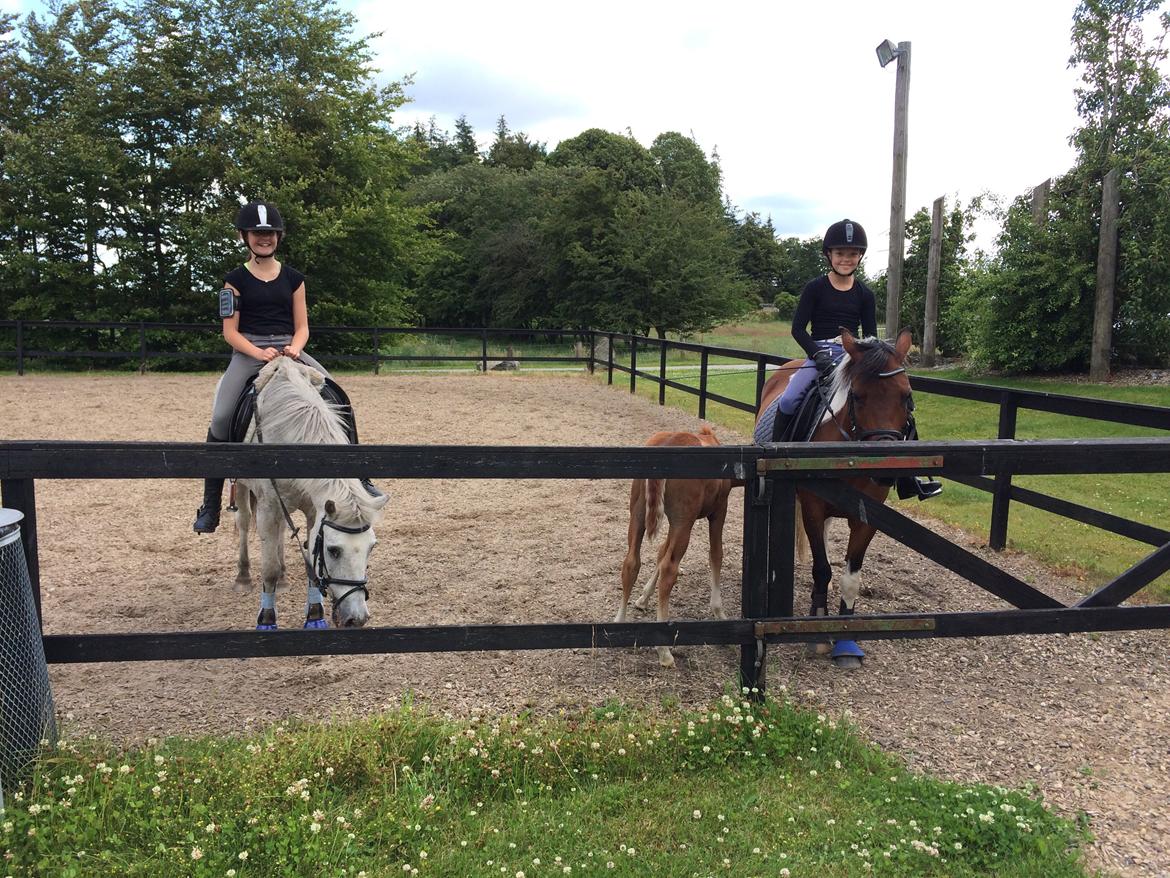 Stald Marienborg billede 19