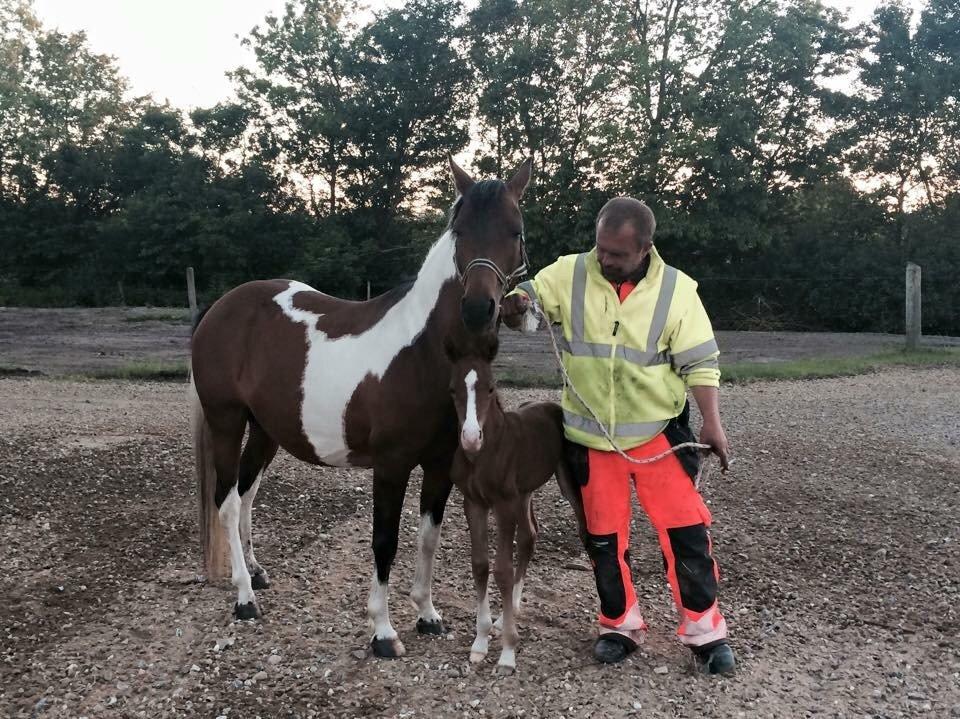 Stald Marienborg billede 24